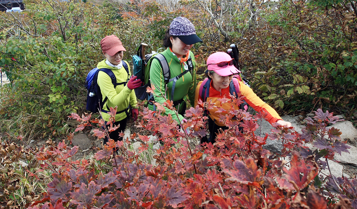 当地时间2012年9月25日,韩国雪岳山大青峰山路上出现今年第一丛红叶,