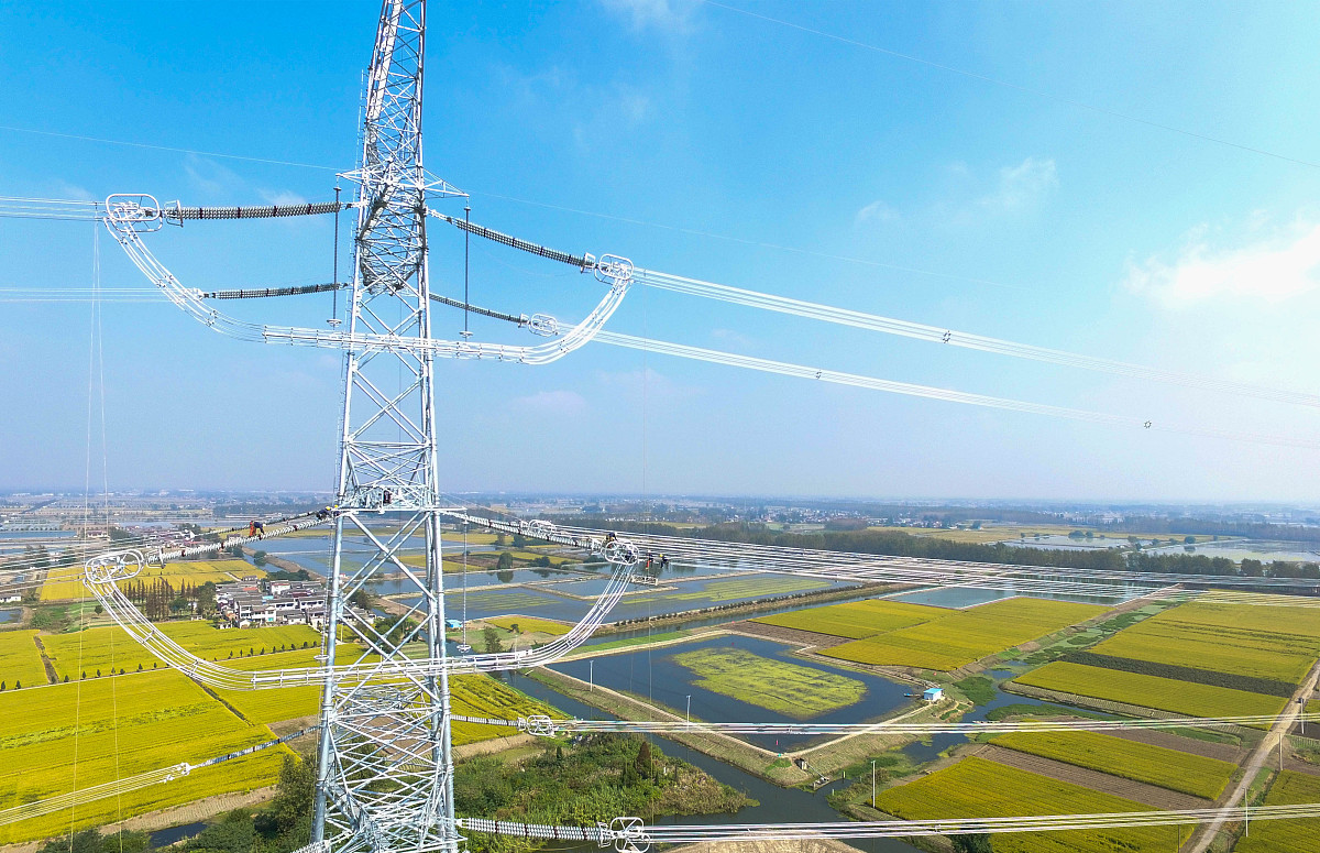 广东工程建设监理有限公司中标项目招标代理服务