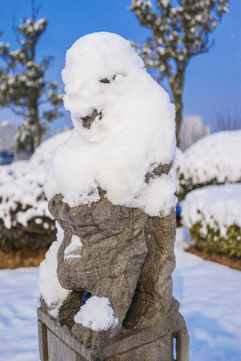 ***_***2017年2月1日,雪中石器.