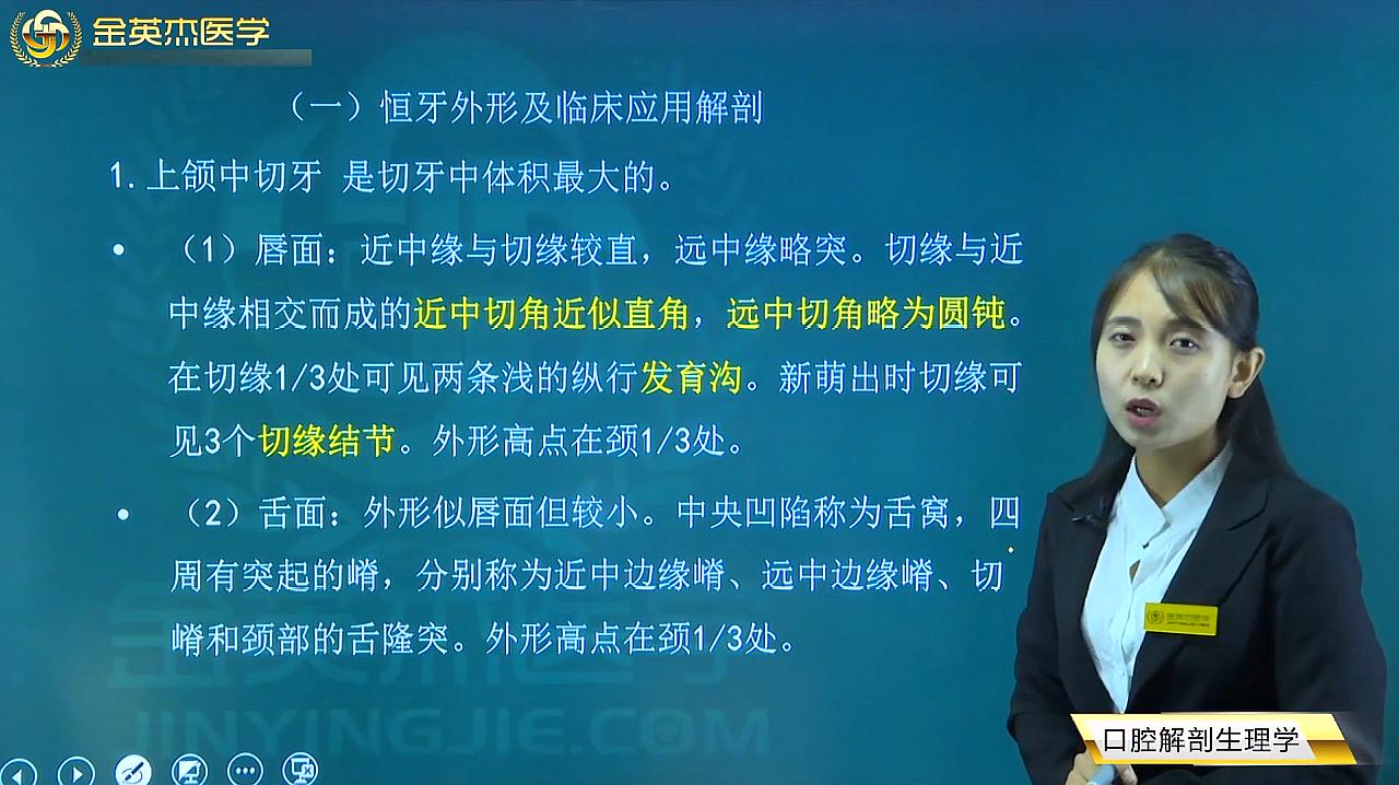 [图]口腔知识02口腔解剖生理学01牙齿外形及意义01恒牙外形及解剖01