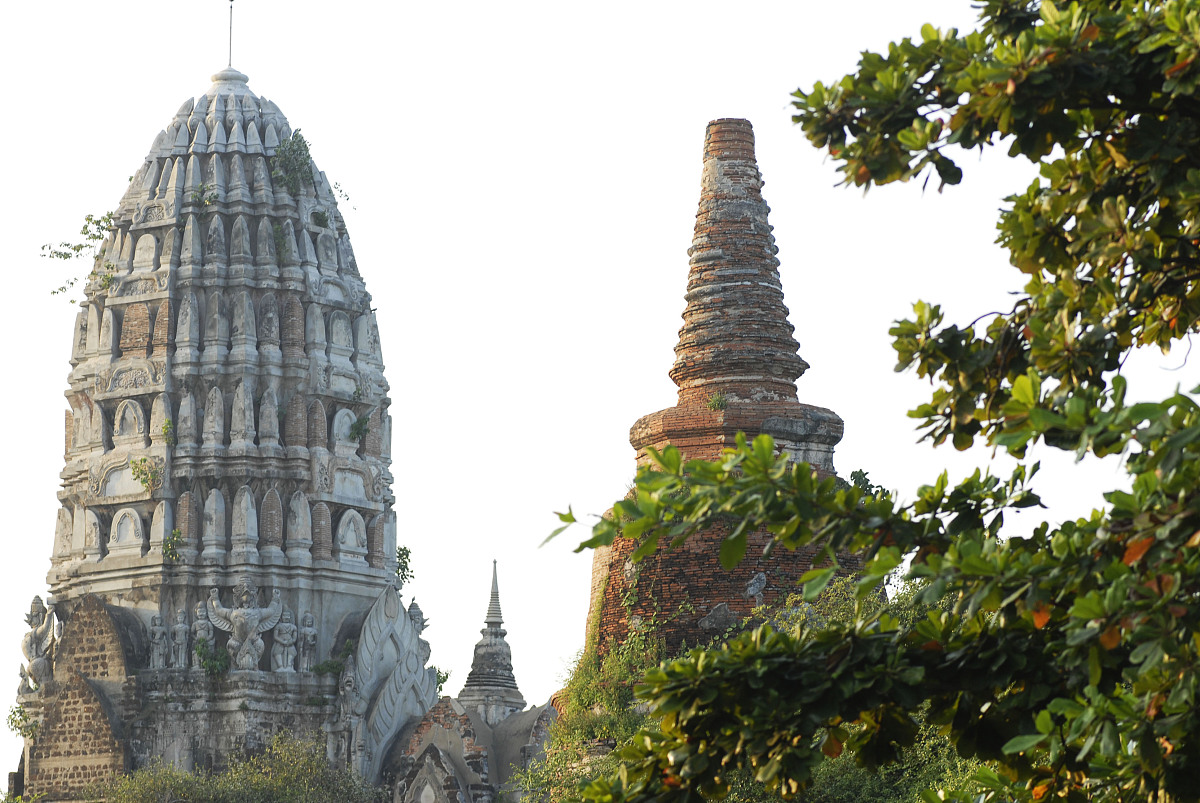 最佳旅游景点推荐：真实游客评价分享！