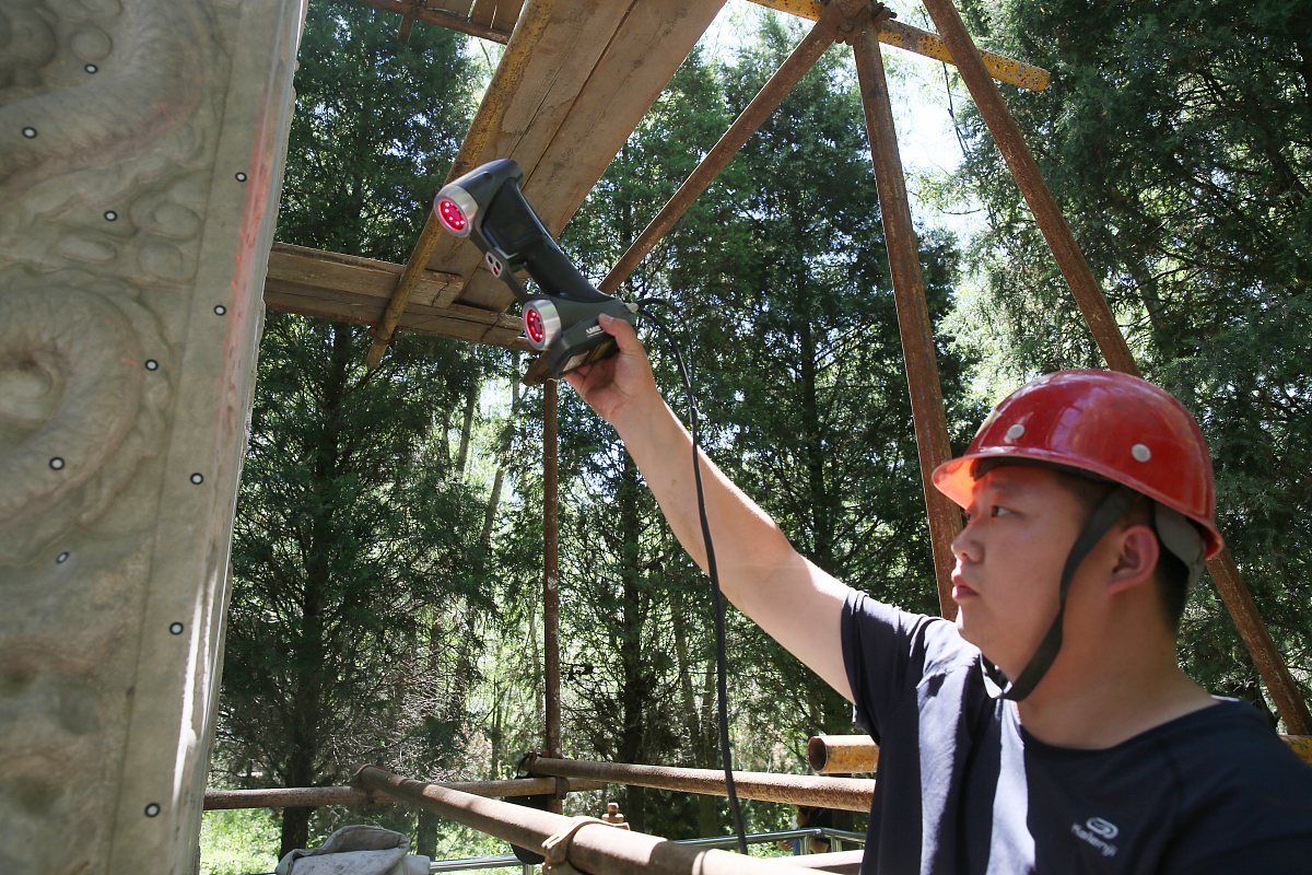 户外圆树登施工案例：为生活奋斗，打造精彩户外体验