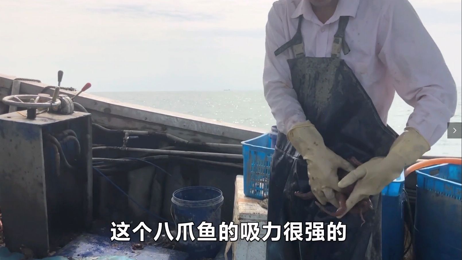 这八爪鱼的吸力真强,阿展竟被死死吸住,想拔开都困难