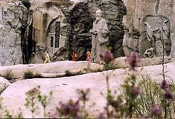 秦皇岛会计专业大学排名-附带学校名单及优势专业分析