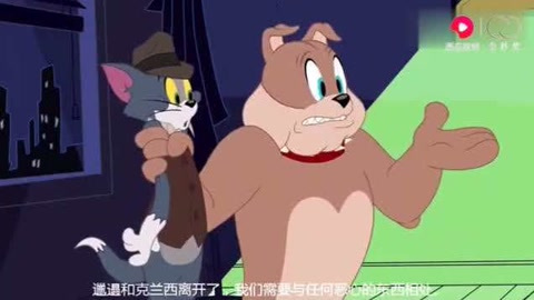 新猫和老鼠:大狗太精明玩扑克的狗都了若指掌,斯派克完全另类