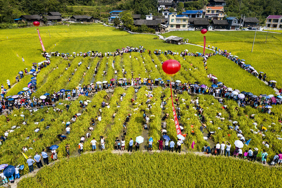 吉衡铁路湖南线长度