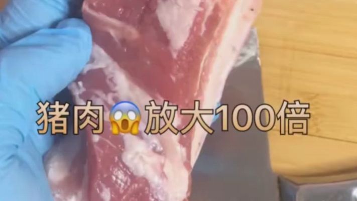 将猪肉放大100倍,看看会是什么样子呢?