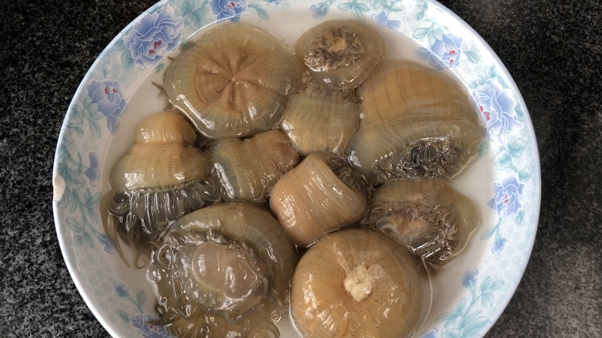 海葵怎么做?小斗妈妈亲自上阵,做海葵要注意这一点