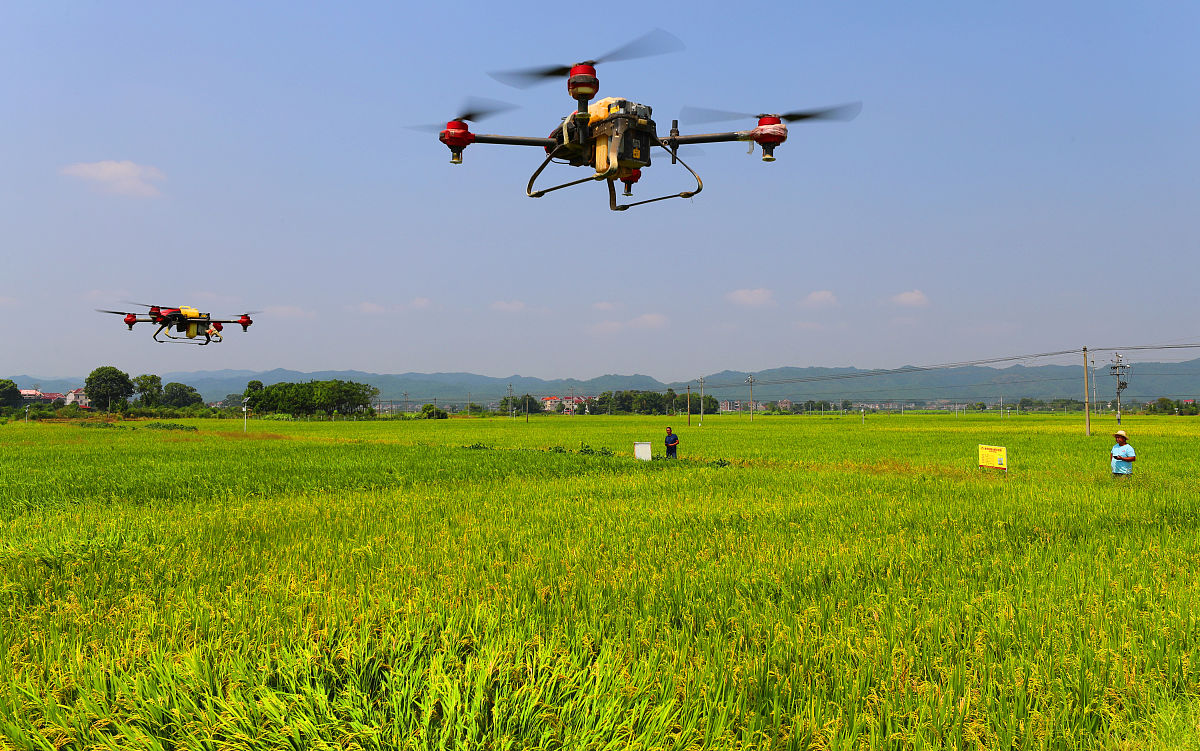 重庆开设轮机管理专业的中专中职学校有哪些