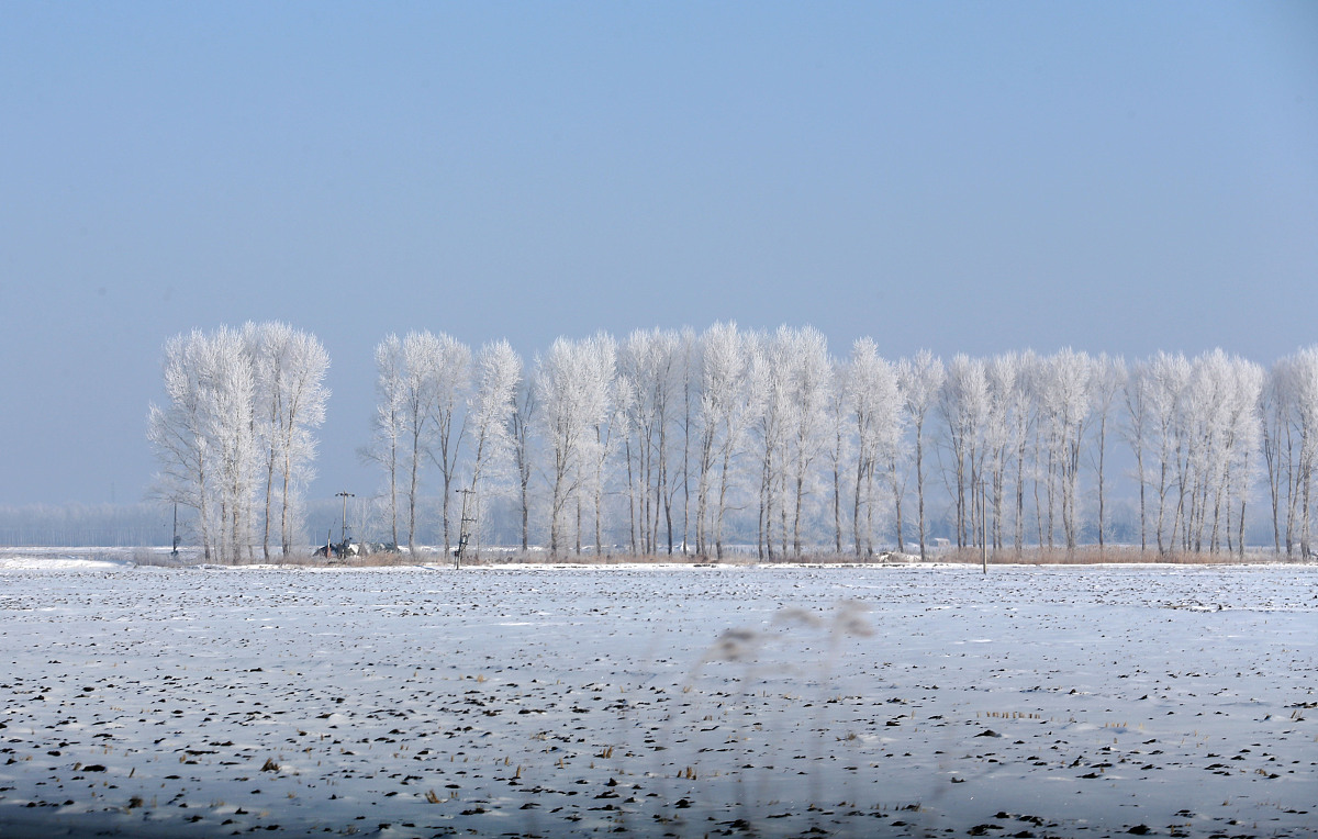 黑龙江农垦职业学院有哪些专业及什么专业好