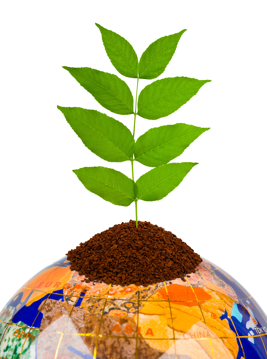 植物会不会抢人类的氧气