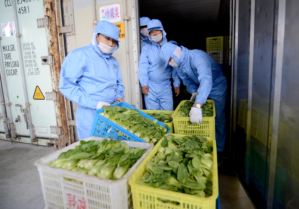 果蔬贮运害虫管理的环保策略：从诱导抗性到生物杀虫剂
