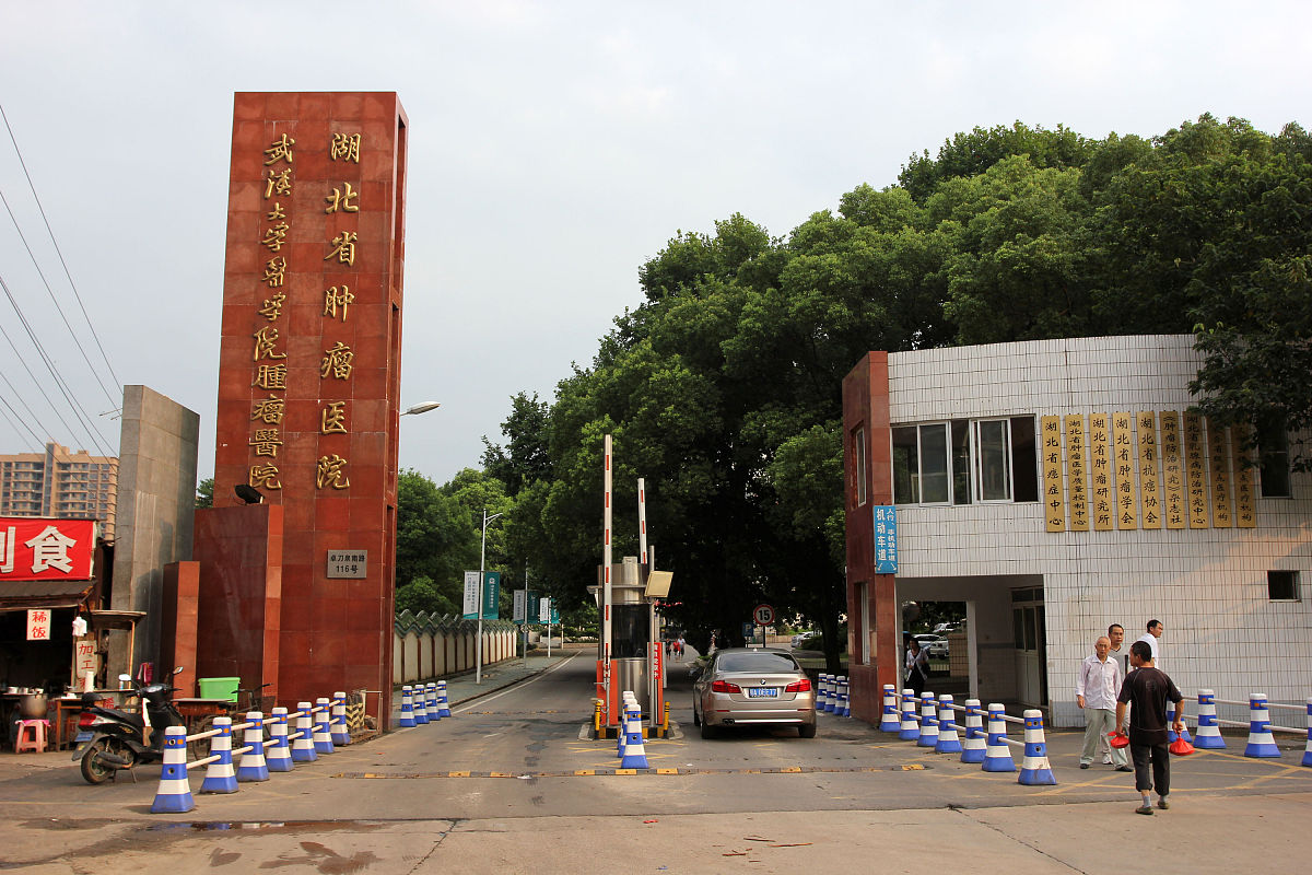 成都幼儿师范学校学什么？课程内容深度解析！