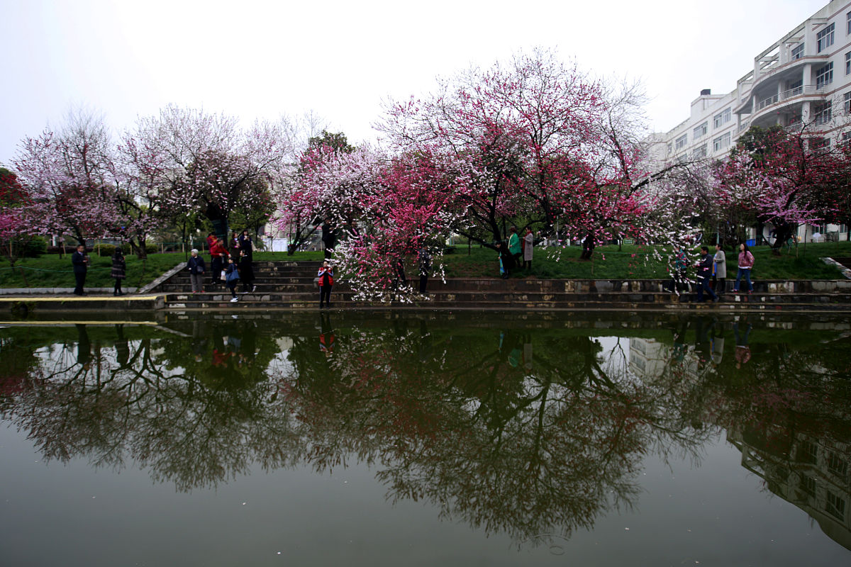 三峡联合职业大学临床医学专业招生对象及培养方案
