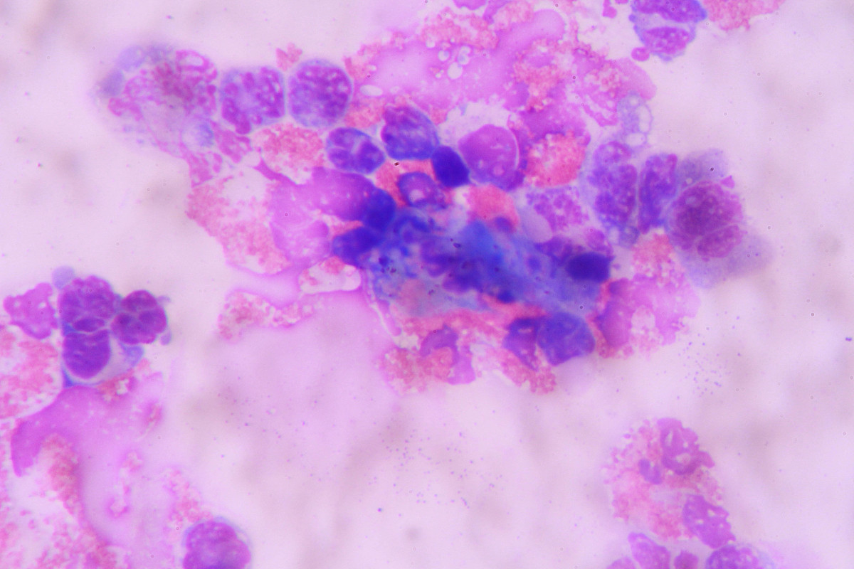 解读这篇论文： httpsdoiorg101038s41396-023-01409-w