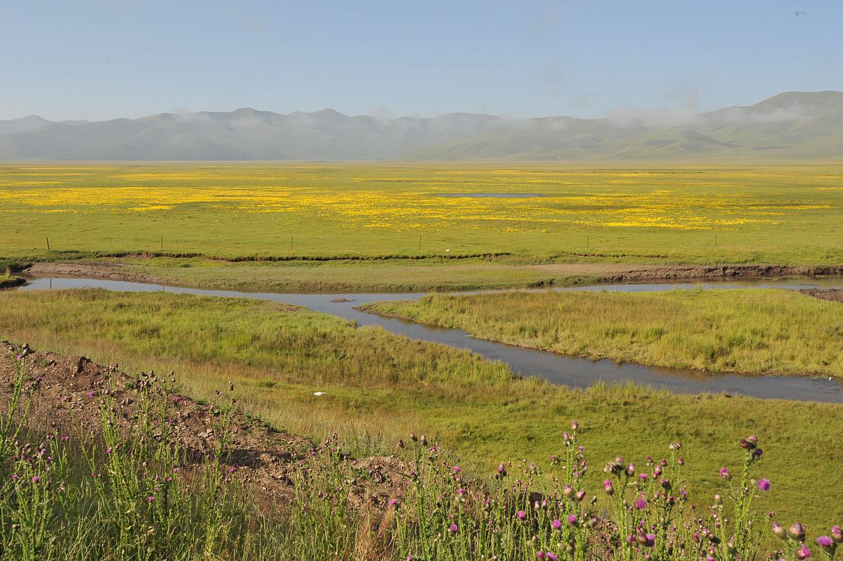 甘南州中等职业学校2022年录取分数线是多少？
