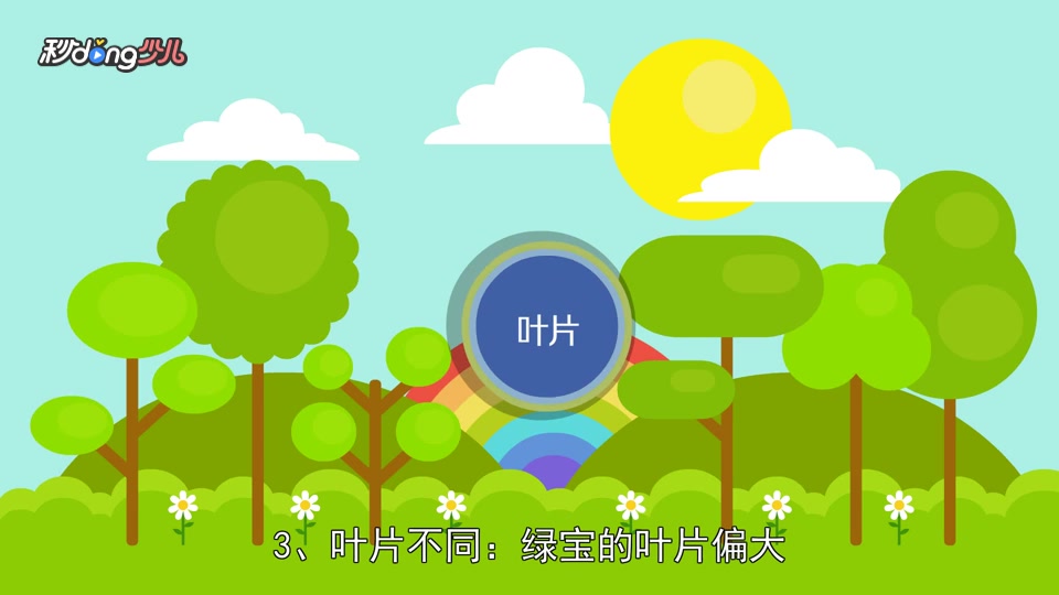 「秒懂少儿」绿宝和幸福树的区别