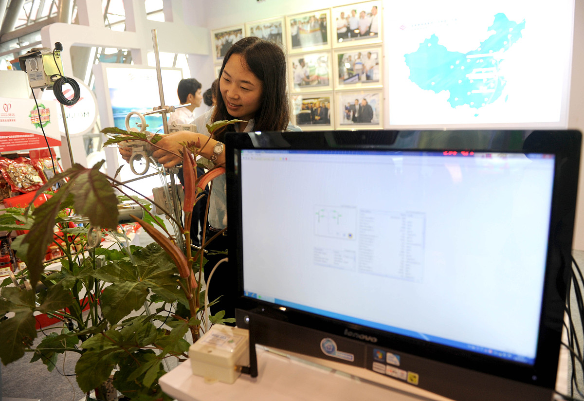 水中溶解氧对蒸腾速率的影响