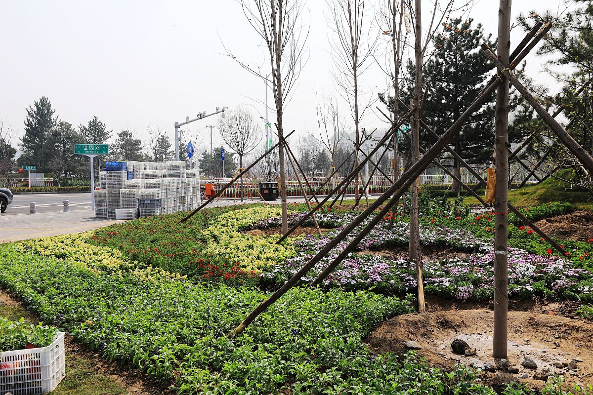 郫县友爱职业学校园林技术专业招生 - 培养城市绿化人才