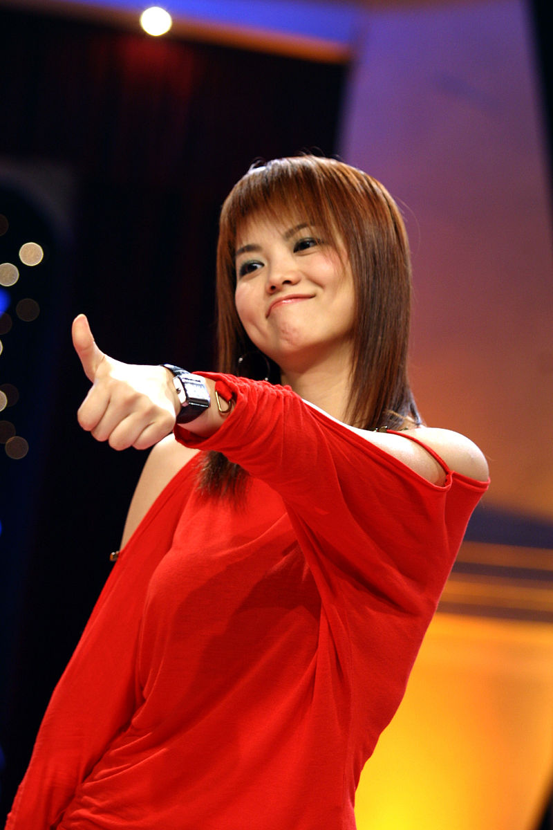 2006年11月21日,李湘博客承认和李厚霖离婚.+++_+++李湘,李厚霖,