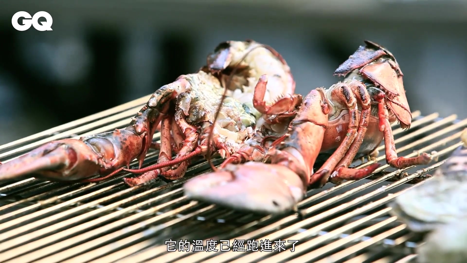 炭烤龙虾和全鱼,看着就流口水,吃一次就上瘾