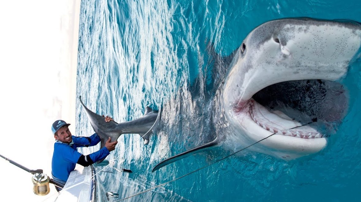 外国小伙钓鱼技术真牛!用另类方式钓鱼,分分钟钓到大鲨鱼!