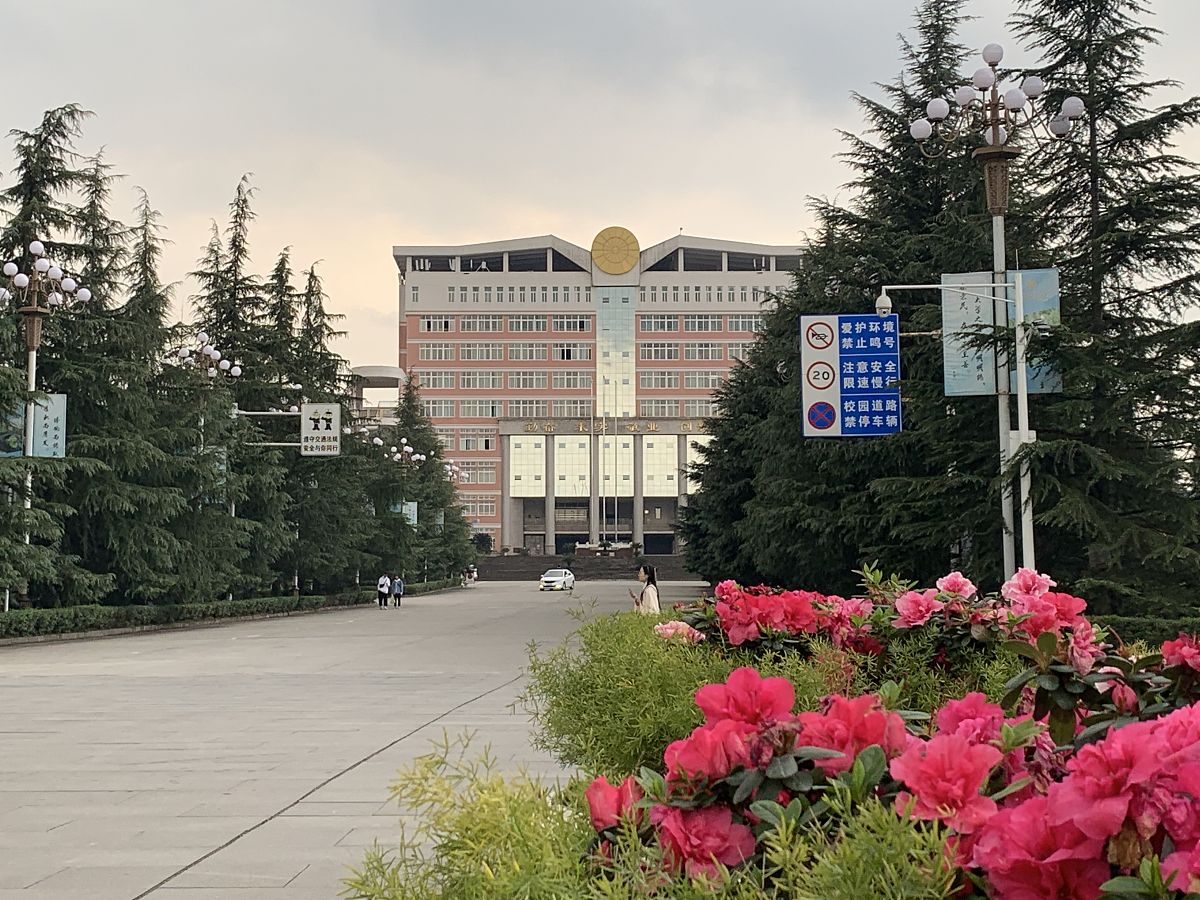 南充师范学校20195年制学前教育英语方向大专