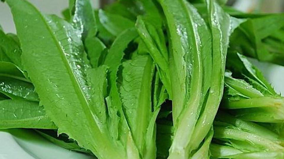 油麦菜:喜光的凤尾之美