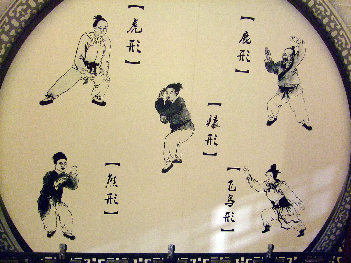 五禽是哪五禽？