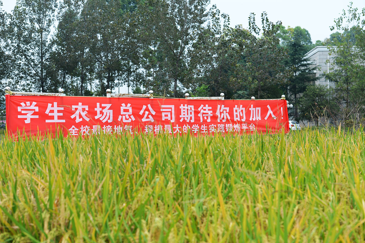 成都2021年有名的电子商务学校