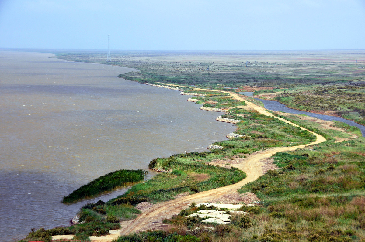 黄河入海口：见证历史的壮丽景观