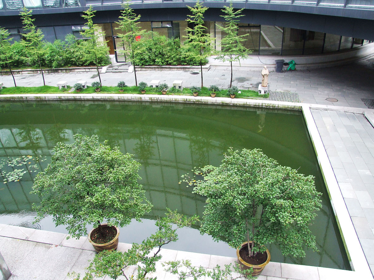 广州美术学院附属中等美术学校招生条件 - 报考指南