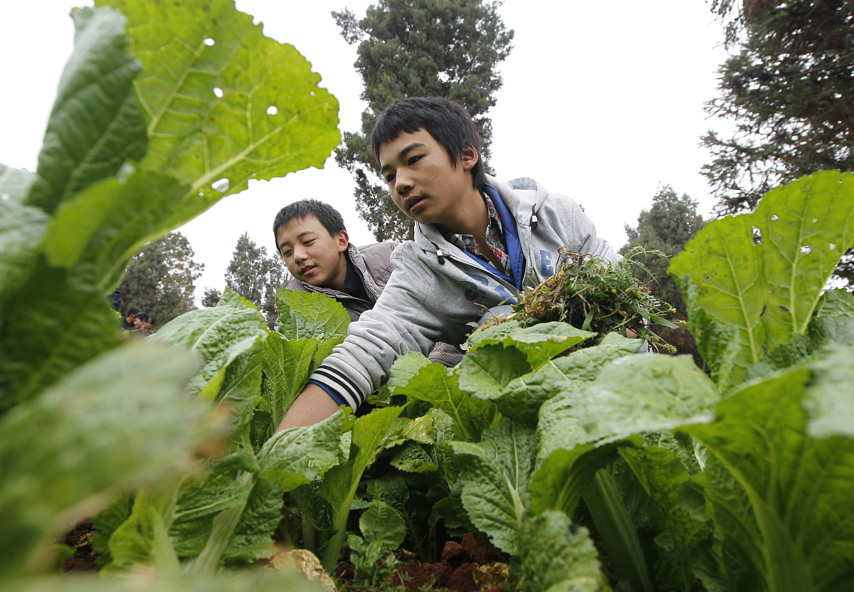 吕梁会计学校2023年好吗正规吗 好不好