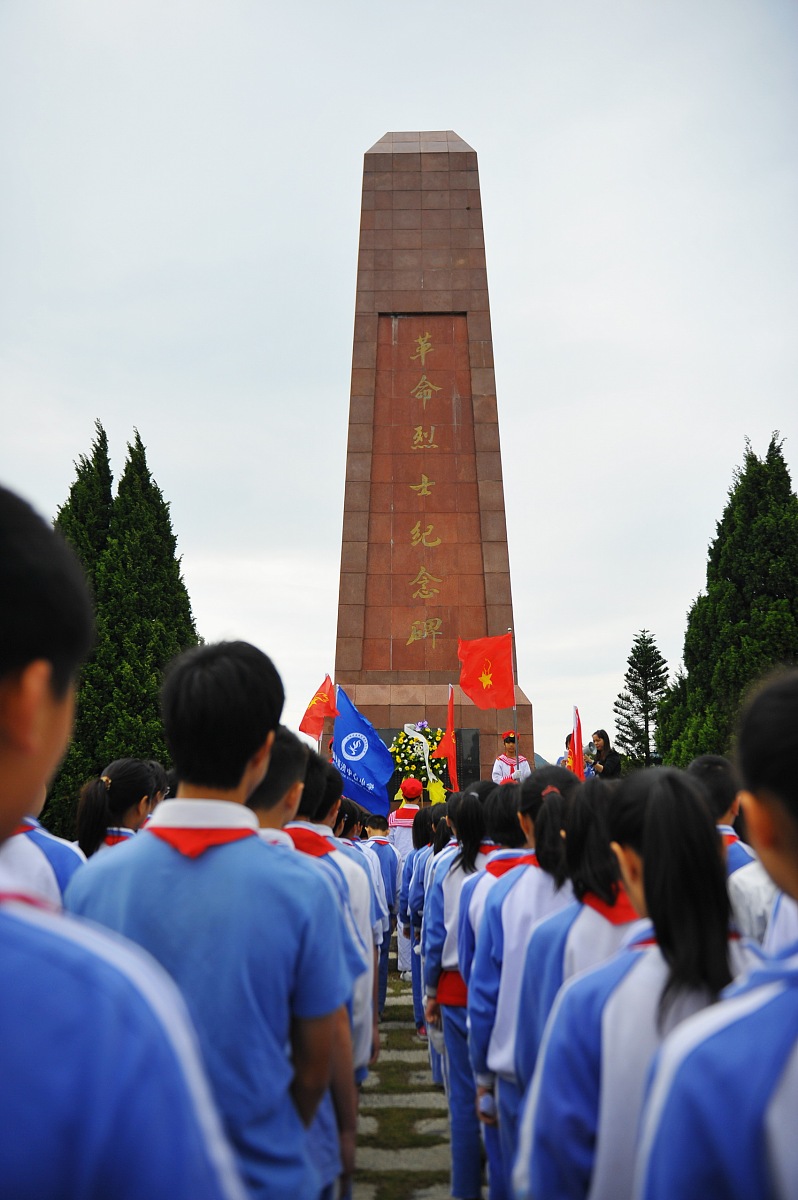 春天的美好与生机：小学生作文