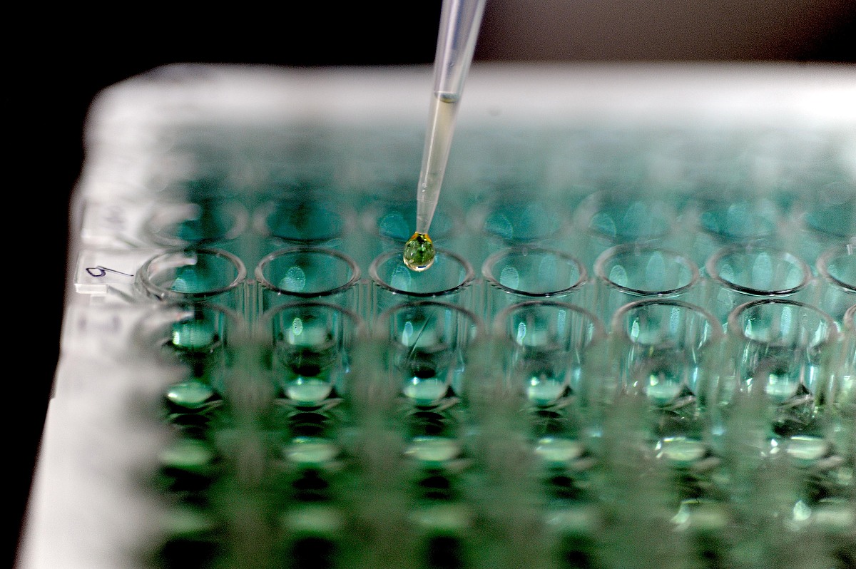 关于饲料行业的阳光正向监督保障的1000字文章