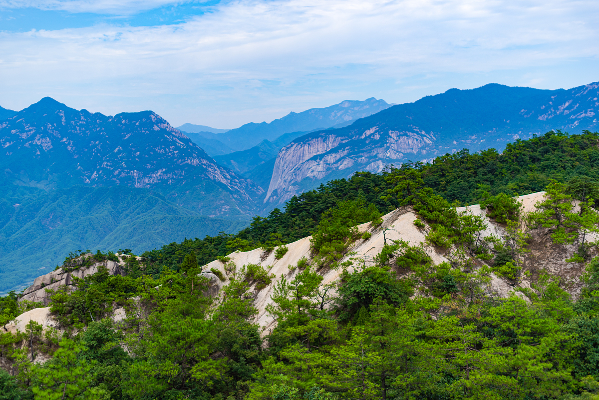 小学和初中所有古诗诗人进行总结列出朝代、诗人姓名、古诗名称