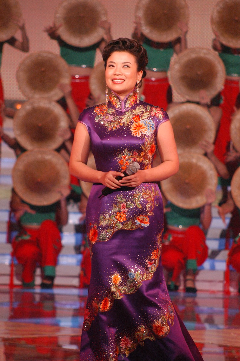 2007年1月1日元旦晚上,众多著名歌手在海南三亚美丽之冠为三亚市城市