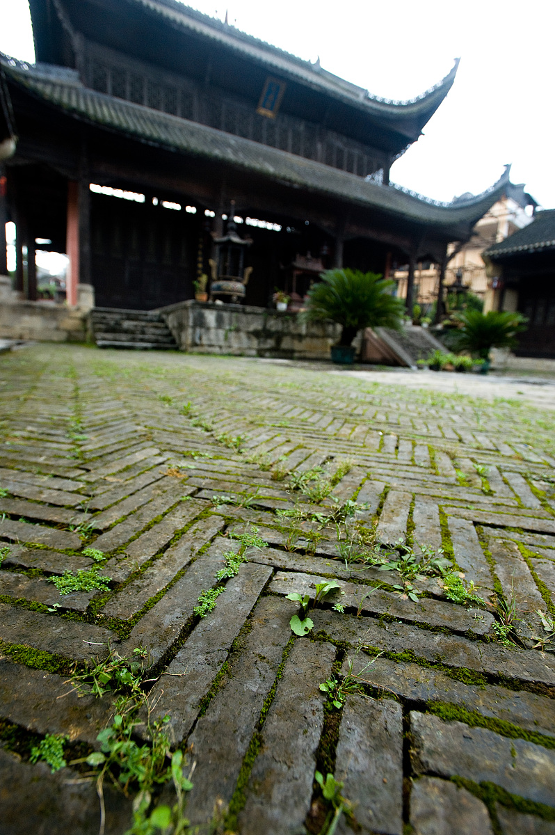 Andrea Fenn says for him all this confirms that I dont think we are looking at something that alone can sustain an economic boom翻译