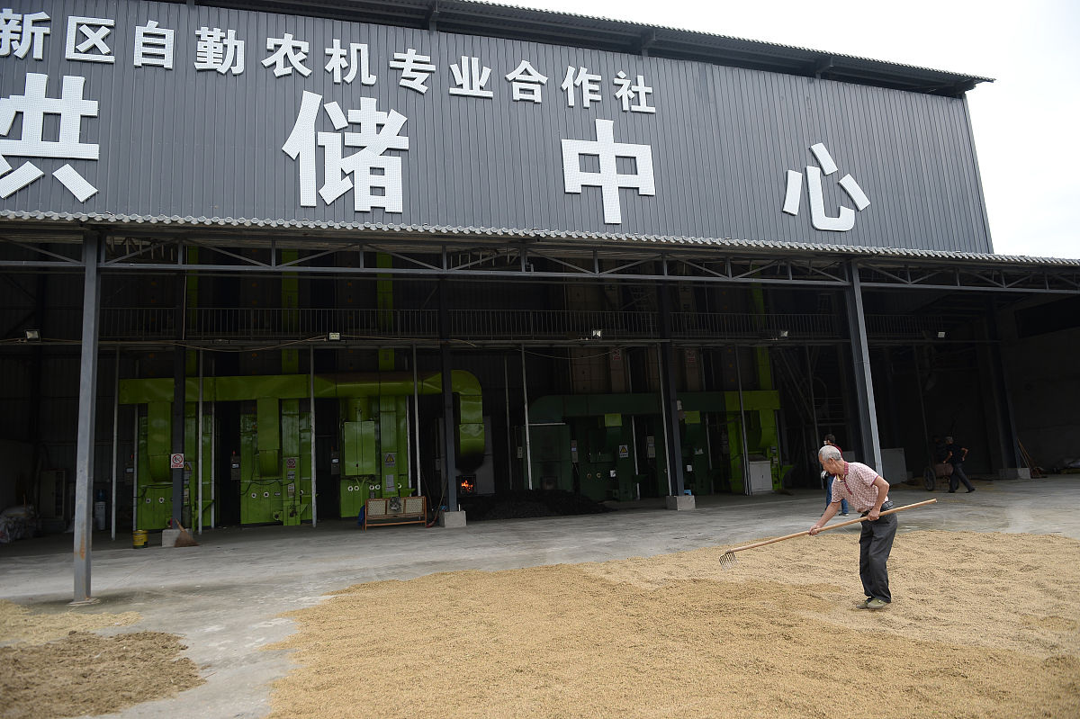 2019年9月21日,成都,烘储中心.(如需下载使用,请务必署名:红星新闻 孙