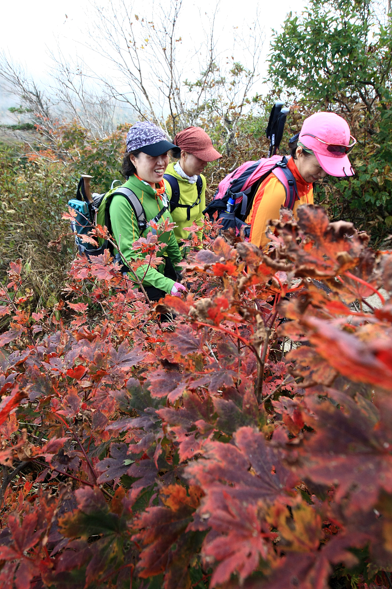 当地时间2012年9月25日,韩国雪岳山大青峰山路上出现今年第一丛红叶,