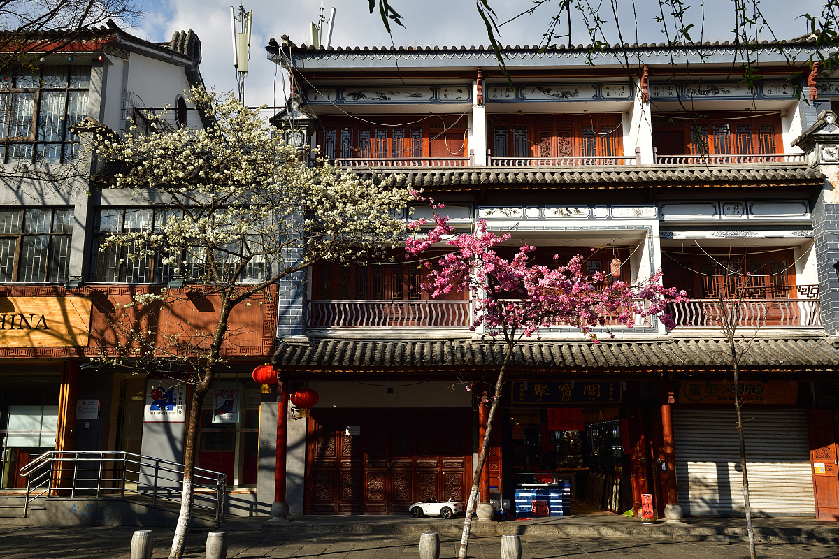 宾川县职业高级中学招生专业 - 培养未来人才的摇篮