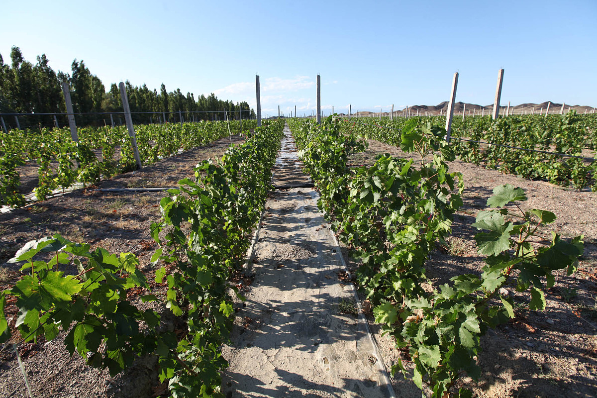 曲靖农业学校2019年五年制招生专业地址