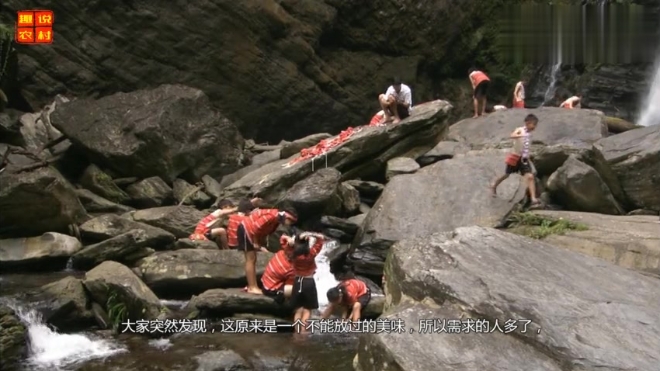 20年前一斤3毛5,家家户户吃得起,如今价格翻几倍市场仍火爆