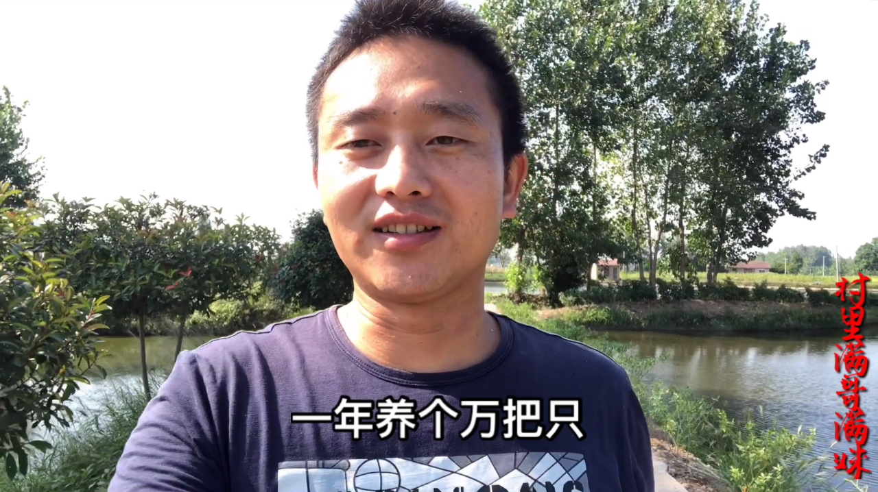 66岁农村大叔养鸭子,养10000只年收入有多少,最终说出了实话