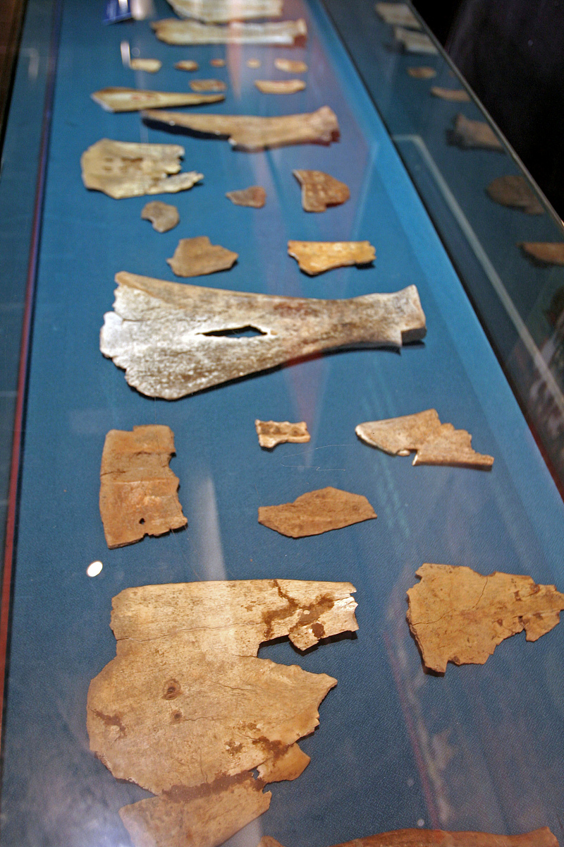 说说中国商朝的历史