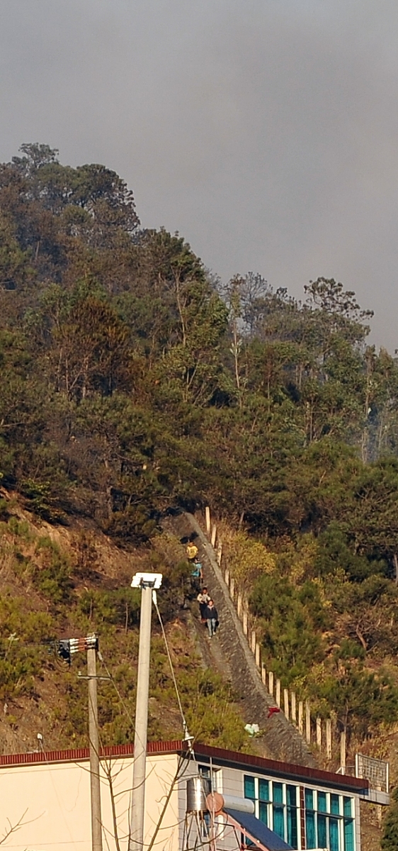 大理大学医学院2023年招生简章