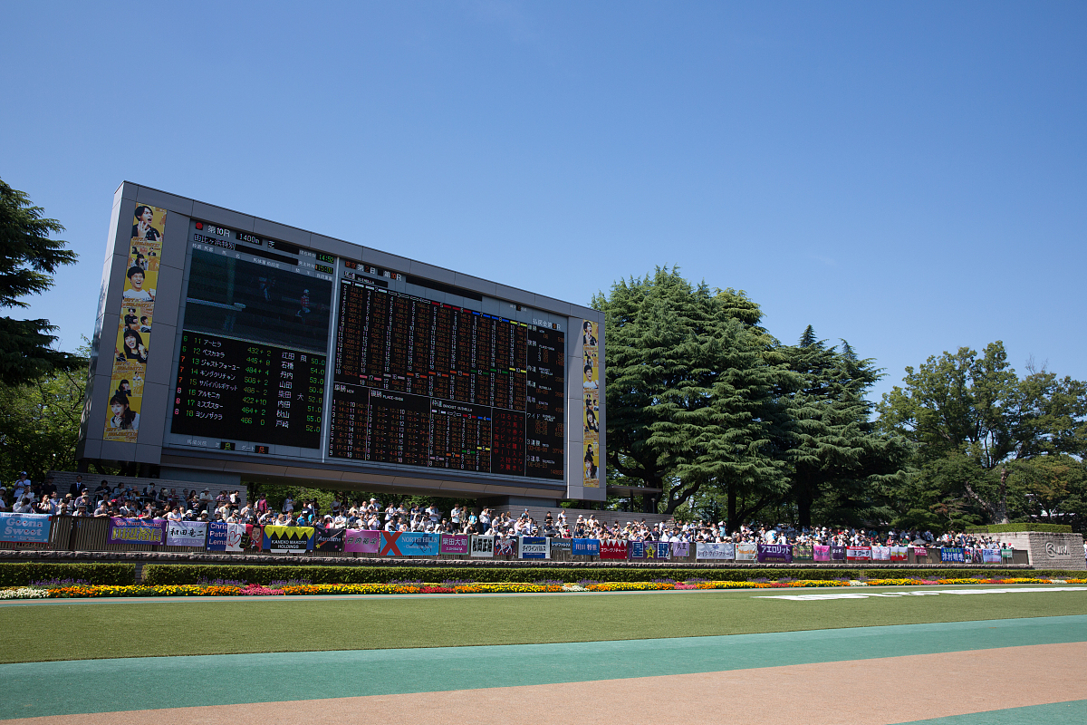 2023年云南亨德森外事外语职业学院三年制中专招生简介