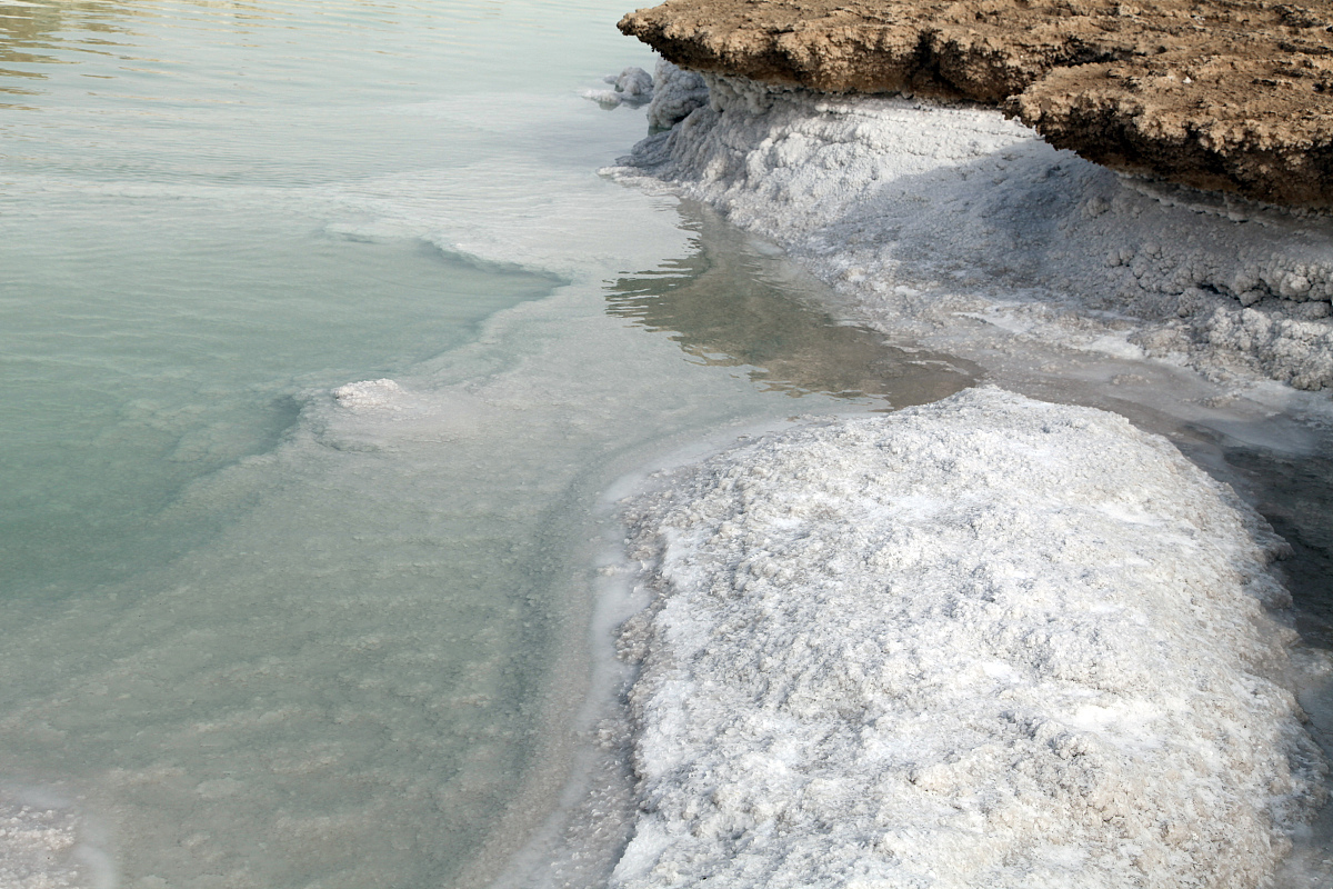 新疆土壤盐碱化导致粮食损失：每年2~2.5亿公斤