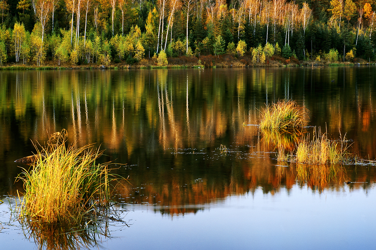 安徽林业职业技术学院单招有药剂专业吗