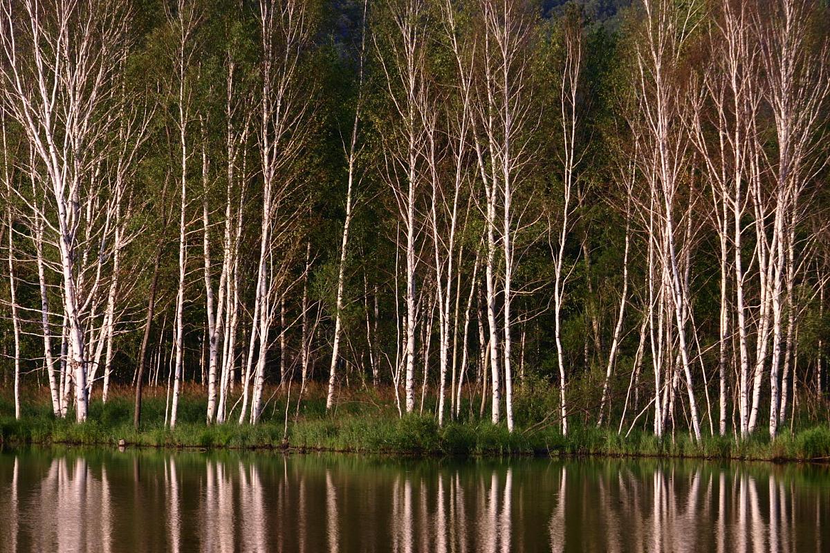2020年黑龙江职业学院招生简章-报考指南及专业目录